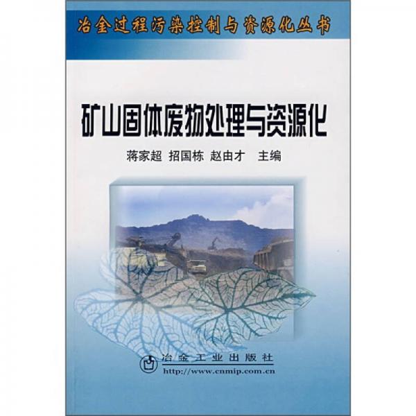 礦山固體廢物處理與資源化