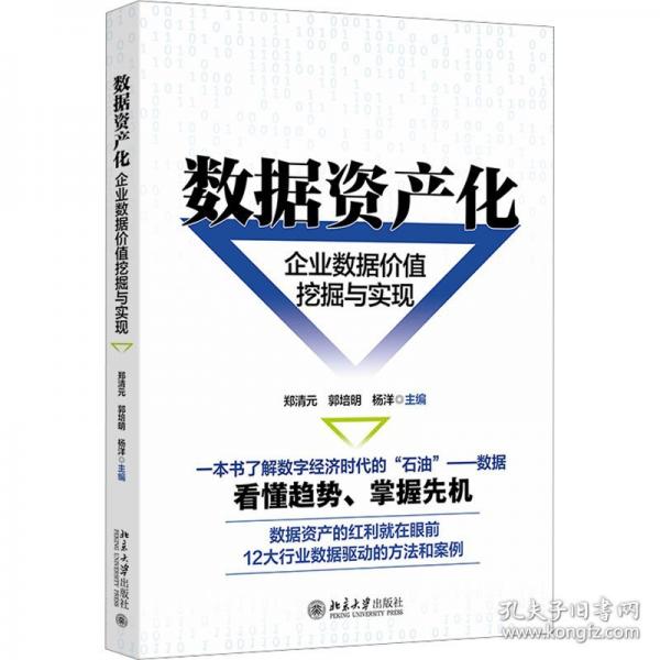 数据资产化：企业数据价值挖掘与实现