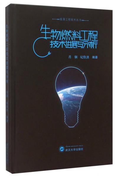 能源工程技术丛书：生物燃料工程技术进展与分析