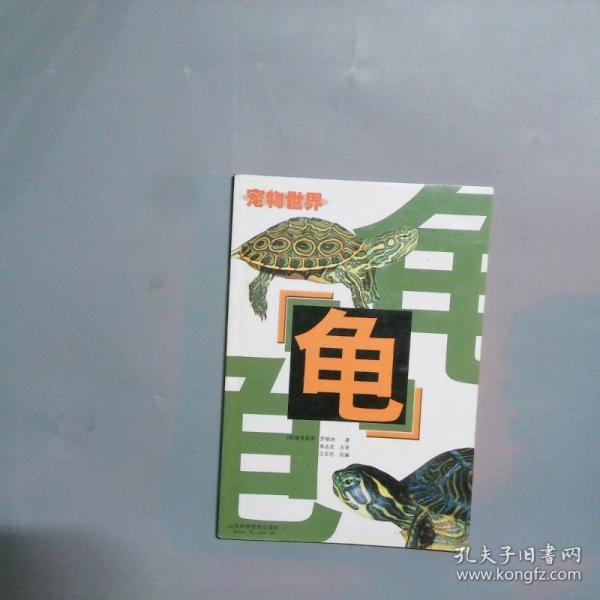 龜