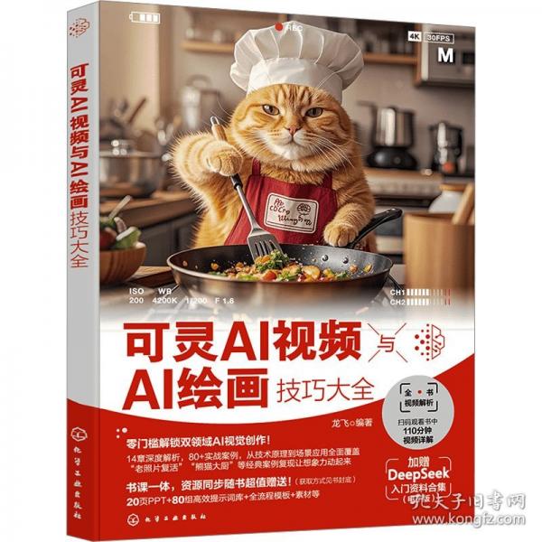 可靈AI視頻與AI繪畫技巧大全
