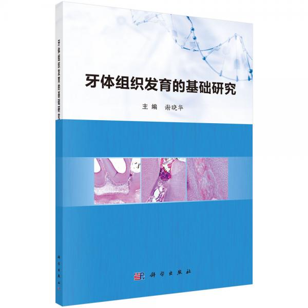 牙體組織發(fā)育的基礎(chǔ)研究
