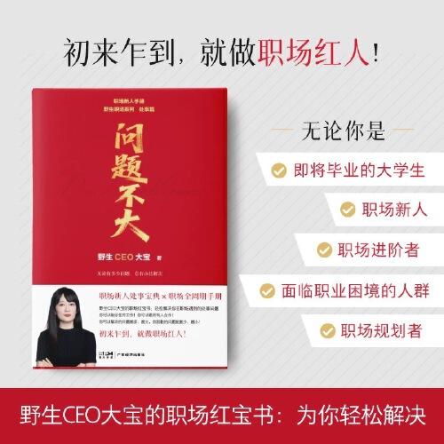 問題不大 野生CEO大寶 職場力作2025