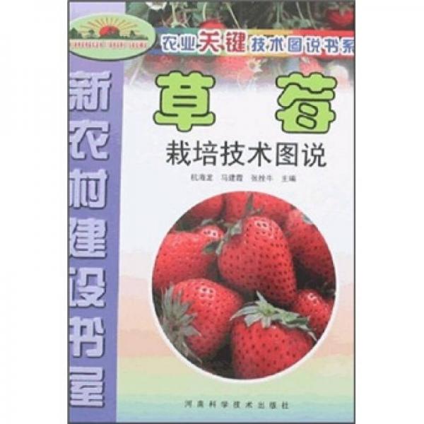 農(nóng)業(yè)關(guān)鍵技術(shù)圖說(shuō)書(shū)系：草莓（栽培技術(shù)圖說(shuō)）