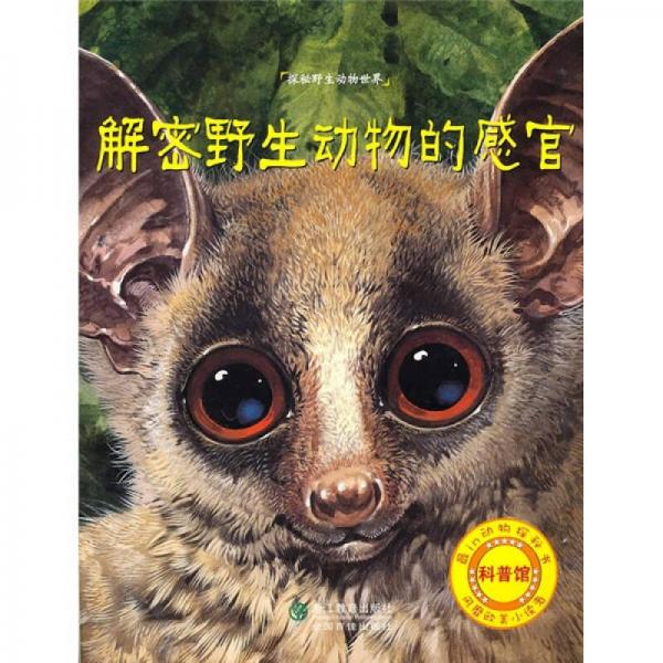 探秘野生動物世界：解密野生動物的感官