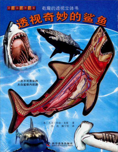 有趣的透视立体书：透视奇妙的鲨鱼