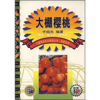 大棚櫻桃