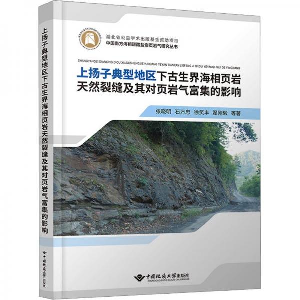 上揚(yáng)子典型地區(qū)下古生界海相頁(yè)巖天然裂縫及對(duì)頁(yè)巖氣富集的影響