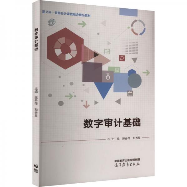 數(shù)字審計基礎(chǔ)