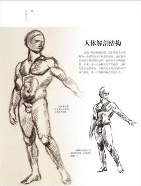 欧洲绘画技法丛书：人体解剖与动态表现技法