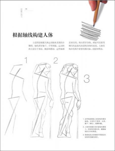 欧洲绘画技法丛书：人体解剖与动态表现技法