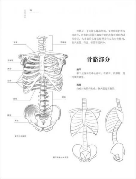 欧洲绘画技法丛书：人体解剖与动态表现技法