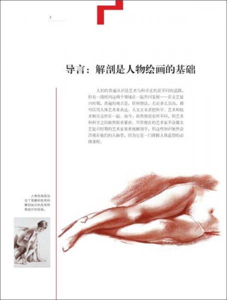 欧洲绘画技法丛书：人体解剖与动态表现技法
