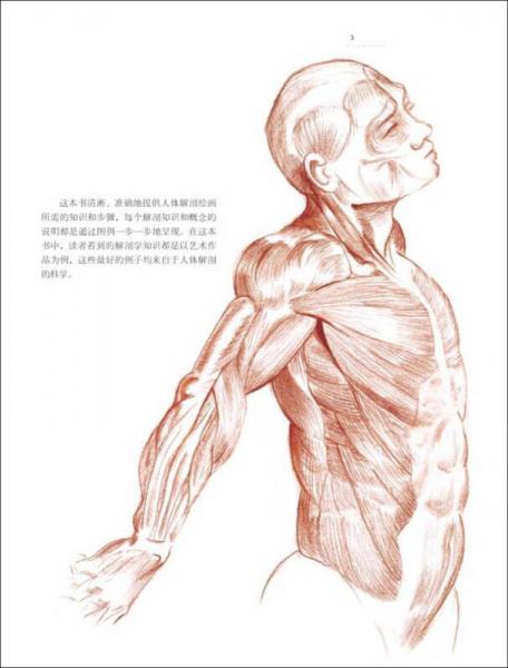 欧洲绘画技法丛书：人体解剖与动态表现技法
