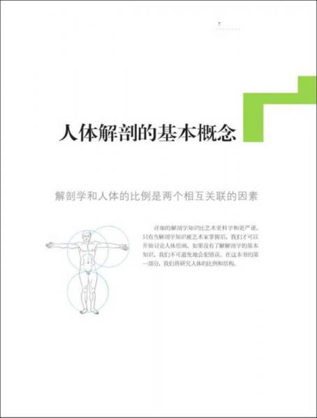 欧洲绘画技法丛书：人体解剖与动态表现技法