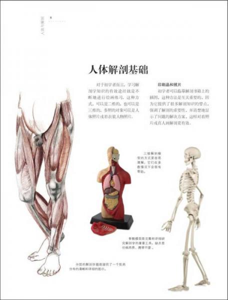 欧洲绘画技法丛书：人体解剖与动态表现技法