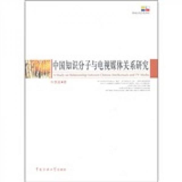 中国知识分子与电视媒体关系研究