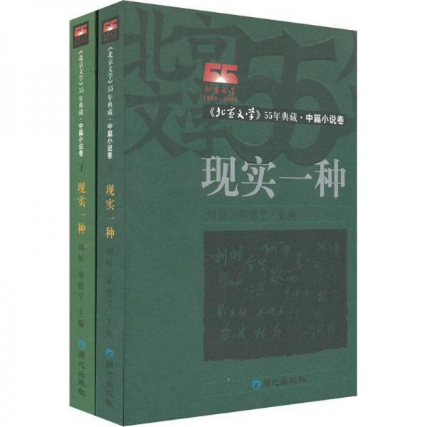 現(xiàn)實一種（上下）