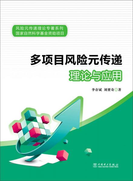 多項目風(fēng)險元傳遞理論與應(yīng)用