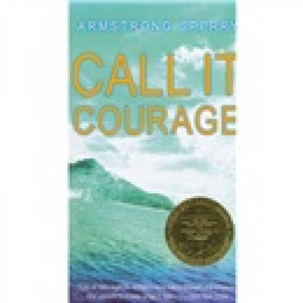 Call It Courage勇气