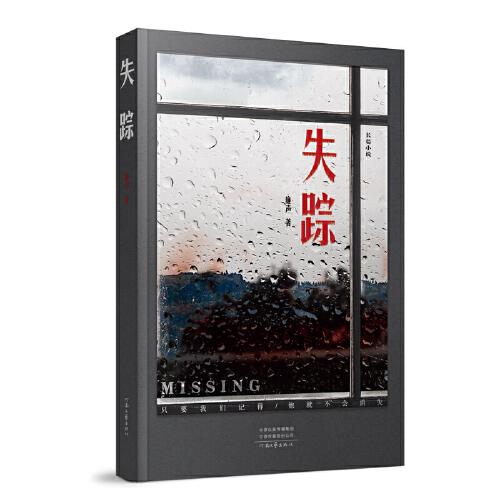 失蹤（懸疑偵探長(zhǎng)篇小說(shuō)）