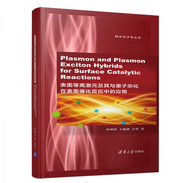 PlasmonandPlasmon-ExcitonHybridsforSurface