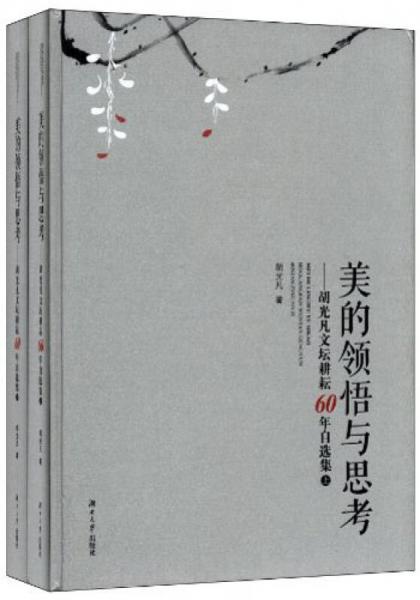 美的領(lǐng)悟與思考 : 