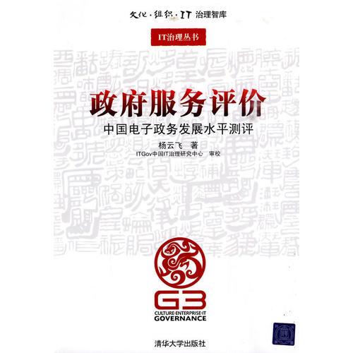 政府服务评价——中国电子政务发展水平测评（文化·组织·IT治理智库—IT治理丛书）