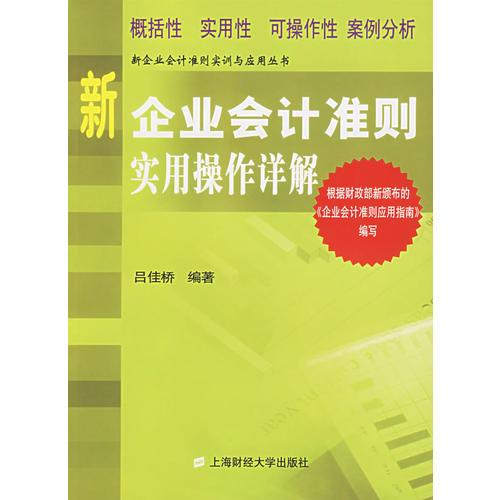 新企业会计准则实用操作详解