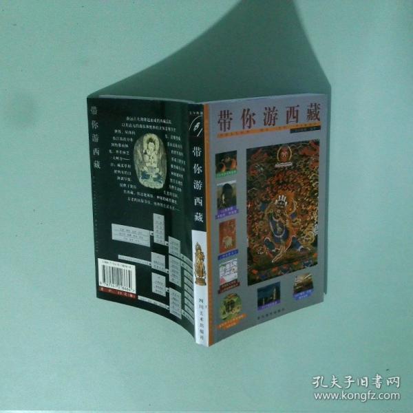 带你游西藏