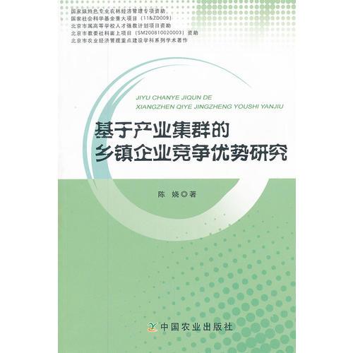 基于產(chǎn)業(yè)集群的鄉(xiāng)鎮(zhèn)企業(yè)競爭優(yōu)勢研究