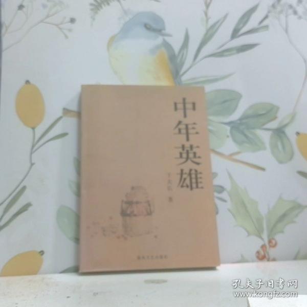 中年英雄