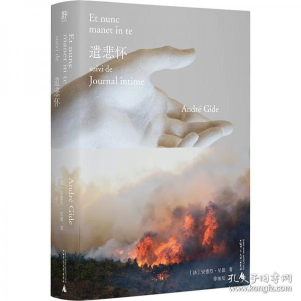 遣悲懷（讀懂《窄門》的鑰匙，“紀德人生三部曲”終極作：獻給靈魂伴侶的懺悔+赤誠袒露的日記，影響波伏瓦、加繆、桑塔格。布面金邊文庫本）