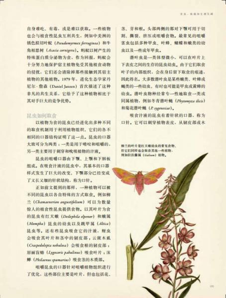 英国皇家园艺学会植物学指南：花园里的科学与艺术