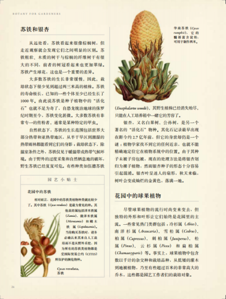 英国皇家园艺学会植物学指南：花园里的科学与艺术