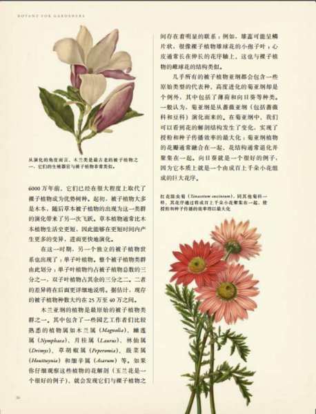 英国皇家园艺学会植物学指南：花园里的科学与艺术