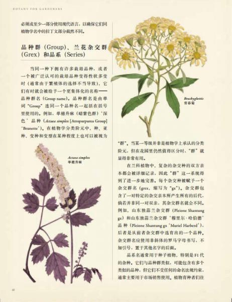 英国皇家园艺学会植物学指南：花园里的科学与艺术