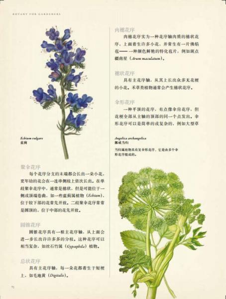 英国皇家园艺学会植物学指南：花园里的科学与艺术