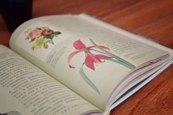 英国皇家园艺学会植物学指南：花园里的科学与艺术