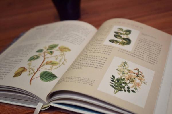 英国皇家园艺学会植物学指南：花园里的科学与艺术