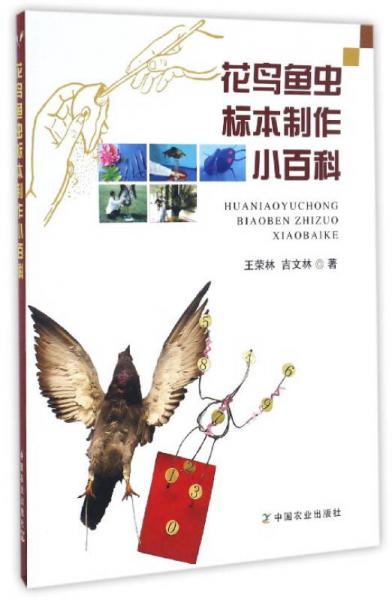 花鳥魚蟲標(biāo)本制作小百科