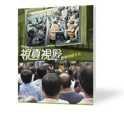 視真視假--透視視覺文化