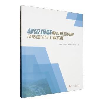 梯級(jí)壩群服役風(fēng)險(xiǎn)與工程實(shí)踐