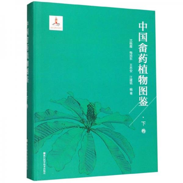 中国畲药植物图鉴（下卷）