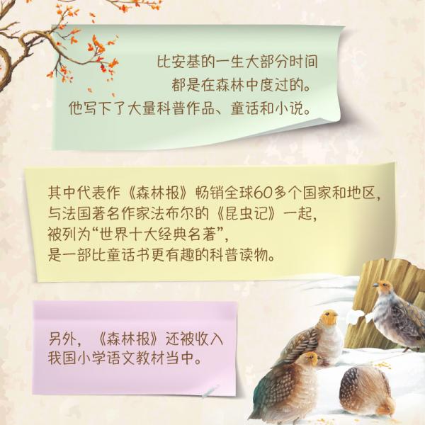 森林报三四五六年级课外书必读6-12岁小学生阅读书籍读物学生经典书目