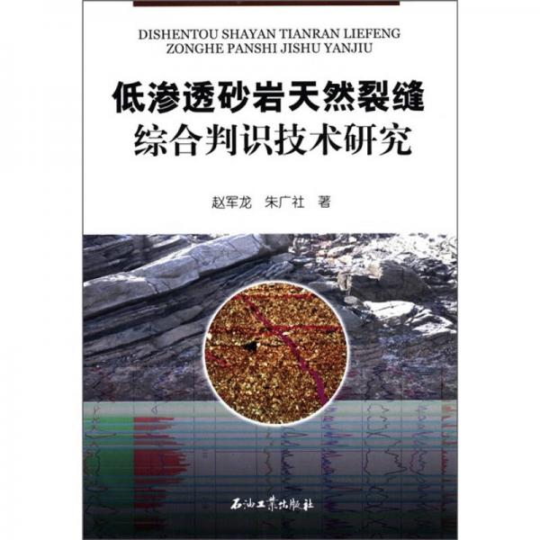 低渗透砂岩天然裂缝综合判识技术研究