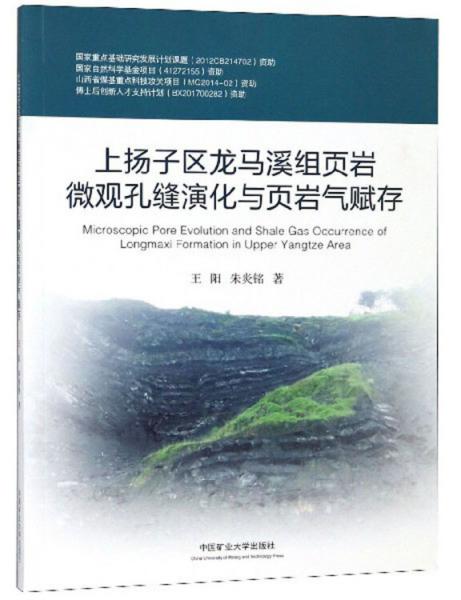 上揚(yáng)子區(qū)龍馬溪組頁(yè)巖微觀孔縫演化與頁(yè)巖氣賦存