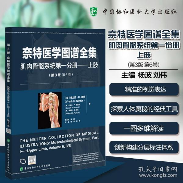 奈特医学图谱全集 第3版第6卷