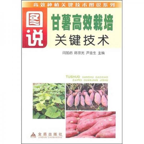 圖書甘薯高效栽培關鍵技術（全彩）