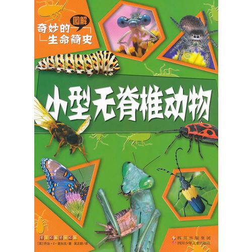 奇妙的生命簡史 小型無脊椎動物